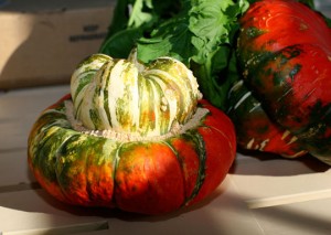 Turks Turban Squash--Photo Credit The Kitchn