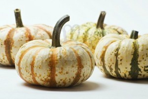 Striped Pumpkins