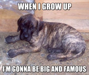 HuffPicOfTheDay--When I Grow Up