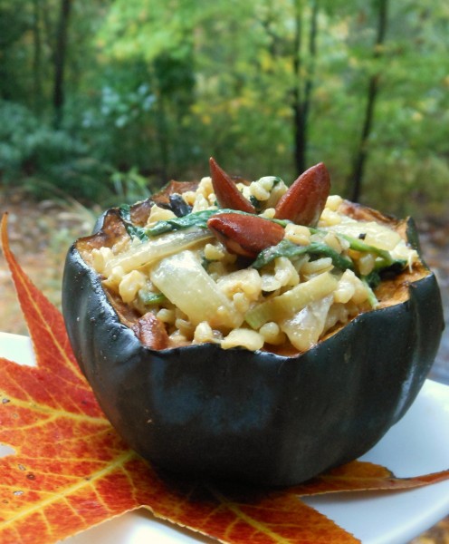 Acorn-Squash-Stuffed-with-Brown-Rice-and-Greens-Stovetop-Casserole-496x600