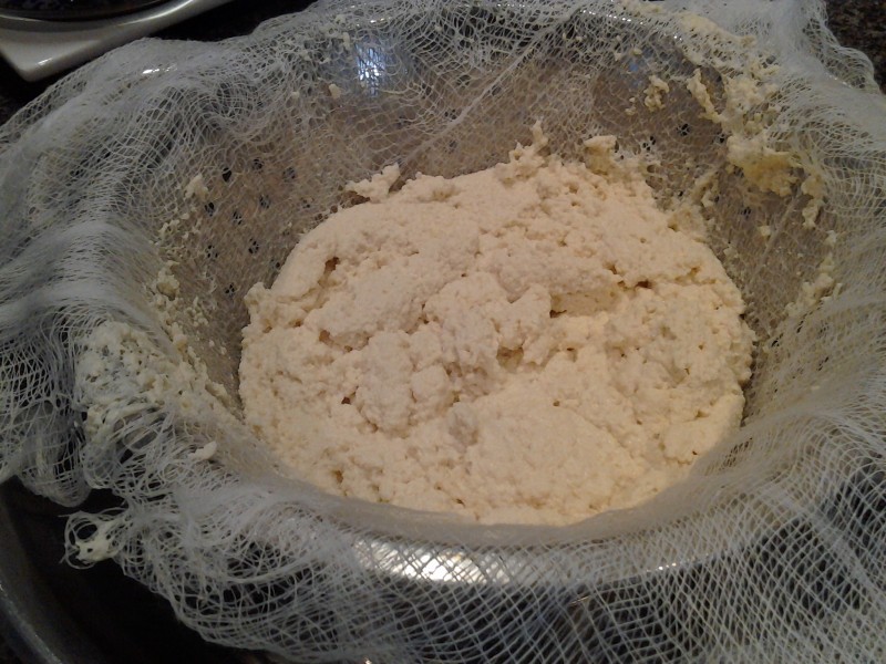 Curds draining in cheesecloth-lined colander