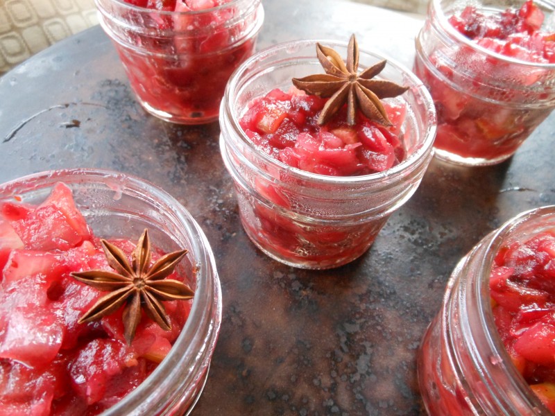 Fresh Fennel and Cranberry Relish