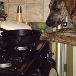 Minnie (the Moocher) in My Vegan Kitchen