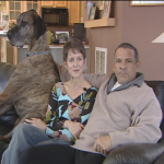 Blooming Platter Cookbook Author’s Great Dane, Huff, Gets More Than His 15 Minutes of Fame Thanks to “Crash the Superbowl” and WVEC Channel 13
