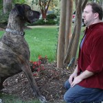 Vote for Blooming Platter Cookbook Author’s Great Dane, “Huff,” in 2012 Doritos Crash the Superbowl Commercial Competition